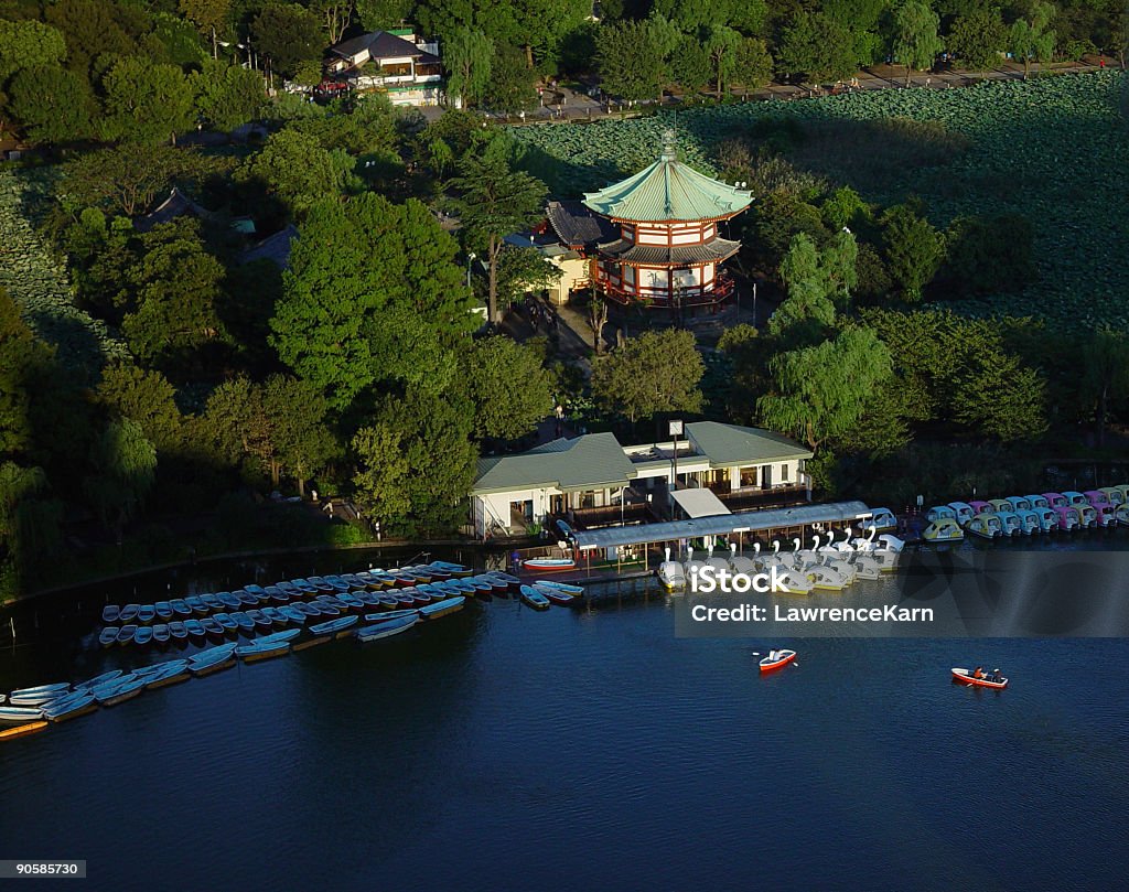 Stagno e del Parco di Ueno Tokyo - Foto stock royalty-free di Acqua