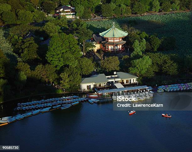 Stagno E Del Parco Di Ueno Tokyo - Fotografie stock e altre immagini di Acqua - Acqua, Ambientazione esterna, Attività ricreativa