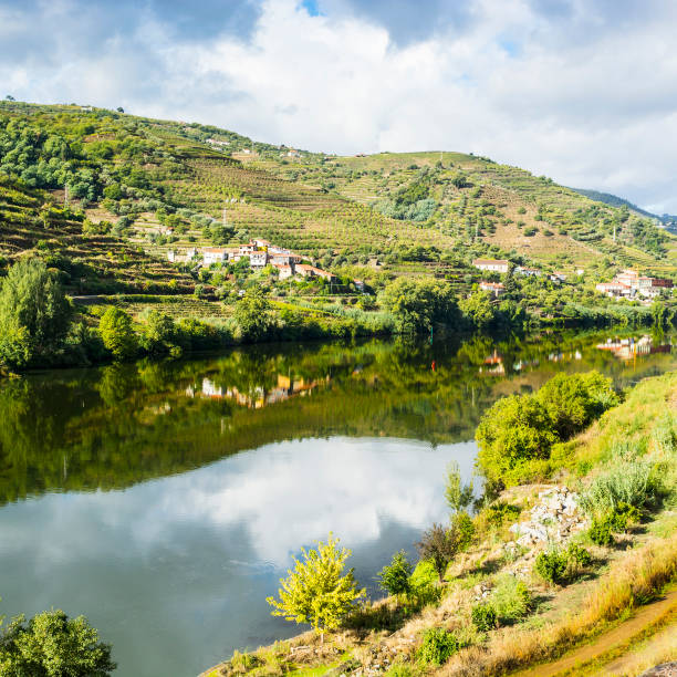 istock Travel in River Douro region 905858376