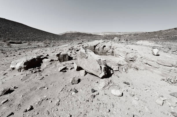 istock Nature of the Middle East. 905858414