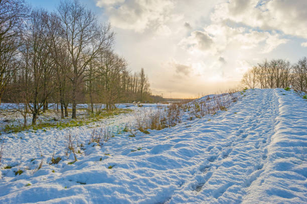 istock Snowy path on a frozen hill in sunlight in winter 905859296