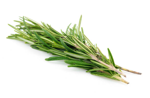 istock Rosemary leaves isolated 905865790