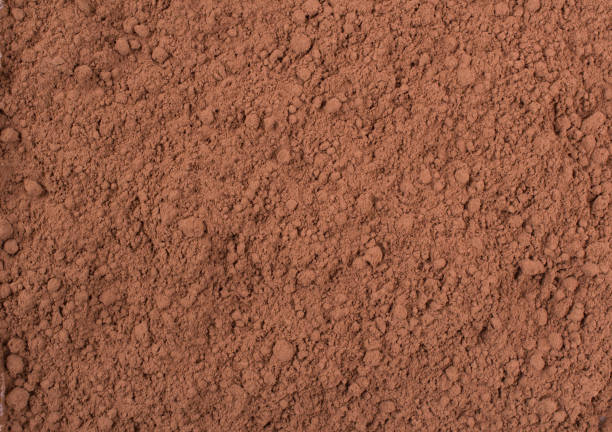 istock Texture background. Cocoa  chocolate brown powder Top view 905866620