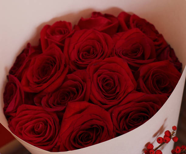 istock Fresh large red roses in white paper 905874528