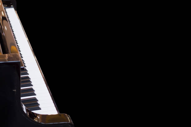 istock Grand Piano keyboard background musical instrument 905878316