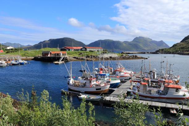 istock Fishing harbor in Norway 905878554
