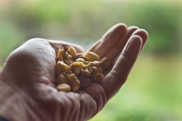 Handful of nuts Naturalistic shot of a senior man holding a handful of nuts. It is believed through research that a handful of nuts every day can increase your lifespan considerably. palm fiber stock pictures, royalty-free photos & images