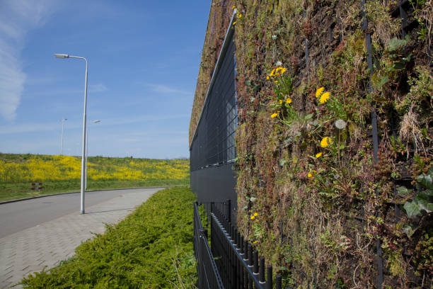 istock vertical nature on wall of industrial building 905883888