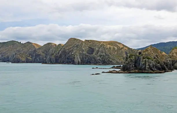 Photo of In Cook Strait