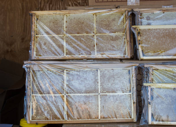 istock Fresh honey in the sealed comb frame 905887260