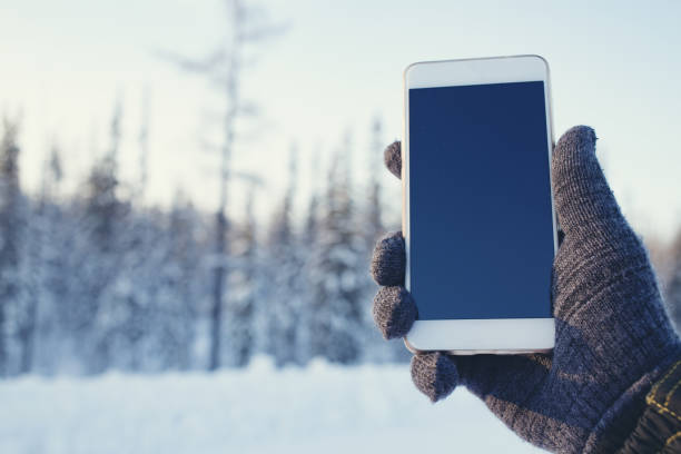 istock Phone in hand on the winter forest background 905891026