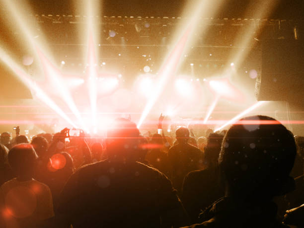 istock Concert crowd in front of a live stage 905891186