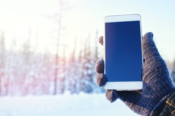 istock Phone in hand on the winter forest background 905891240