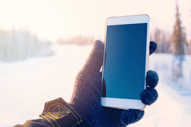 istock Phone in hand on the winter forest background 905891314
