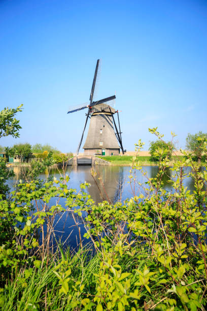 istock windmills of Netherlands 905891334