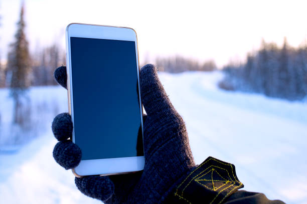 istock Phone in hand on the winter forest background 905891376