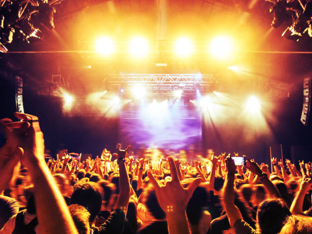 istock Concert crowd in front of a live stage 905894334