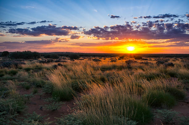dawn in the australian outback - outback imagens e fotografias de stock