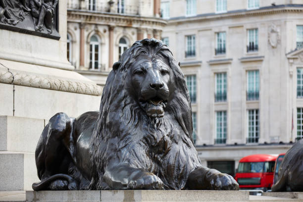 istock London Trafalgar Square lion in UK 905897584