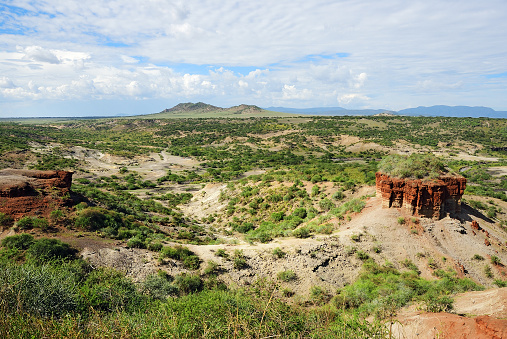 View of ravine Olduvai Gorge one of the most important paleoanthropological sites in the world - the Cradle of Mankind. Great Rift Valley, Tanzania Eastern Africa