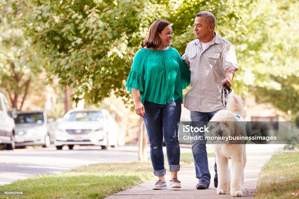 Senior Couple Walking Dog Along Suburban Street Dog Walking Stock Photo