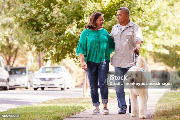 Senior Couple Walking Dog Along Suburban Street Stock Photo - Download Image Now - Dog Walking, Walking, Couple - Relationship