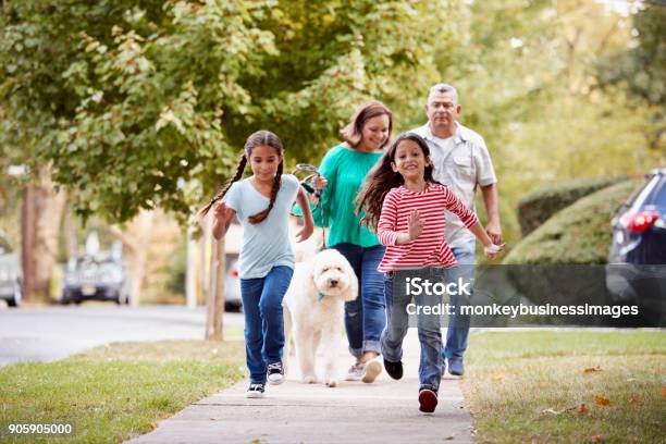 Nonni E Nipoti Che Camminano Cane Lungo La Strada - Fotografie stock e altre immagini di Famiglia - Famiglia, Camminare, Passeggiare con il cane