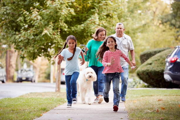 Grandparents And Granddaughters Walking Dog Along Street Grandparents And Granddaughters Walking Dog Along Street mature adult walking dog stock pictures, royalty-free photos & images