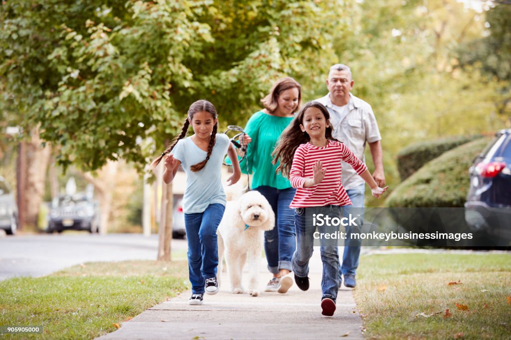 Avós e netas, passear o cão ao longo da rua - Foto de stock de Família royalty-free