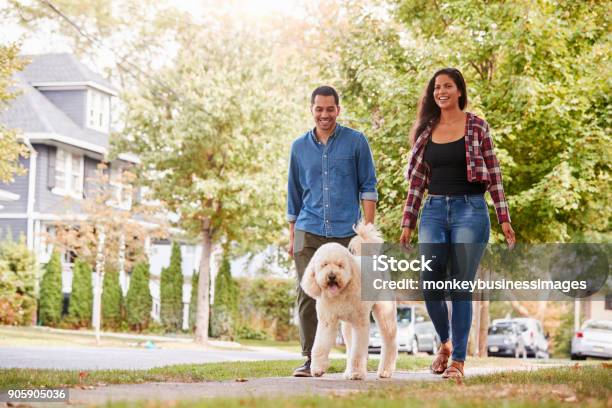 Couple Walking Dog Along Suburban Street Stock Photo - Download Image Now - Walking, Couple - Relationship, Dog Walking