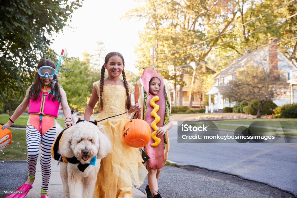 Children And Dog In Halloween Costumes For Trick Or Treating Halloween Stock Photo