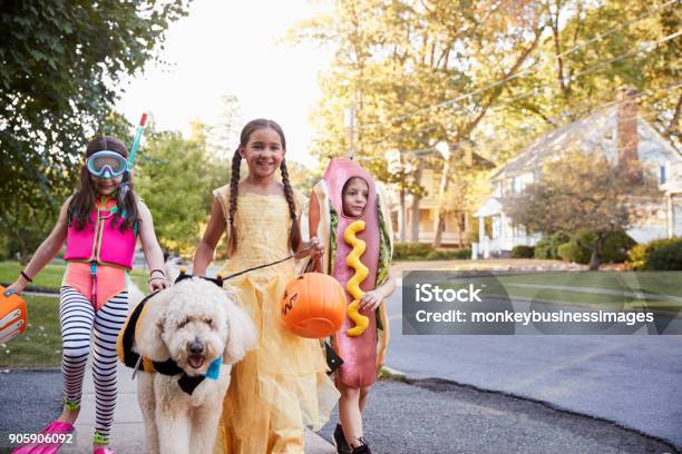 Children And Dog In Halloween Costumes For Trick Or Treating Stock Photo - Download Image Now