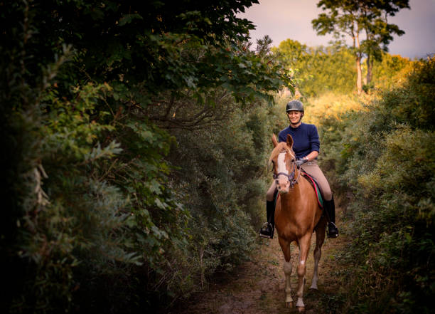 junge frau auf ihre arabischen pferd durch den wald - horse beauty beauty in nature women stock-fotos und bilder