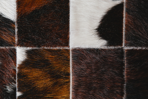 Natural pattern of white and light brown fur texture for background