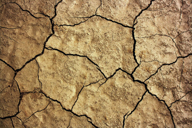 istock Dry terrain. Drought land. Cracked ground texture background. Ground pattern. Death Valley National Park. 905933210