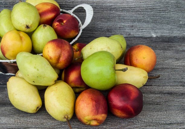 summer fruit, fruit basket, apple, pear, peach, nectarine and plum - nectarine peach red market imagens e fotografias de stock