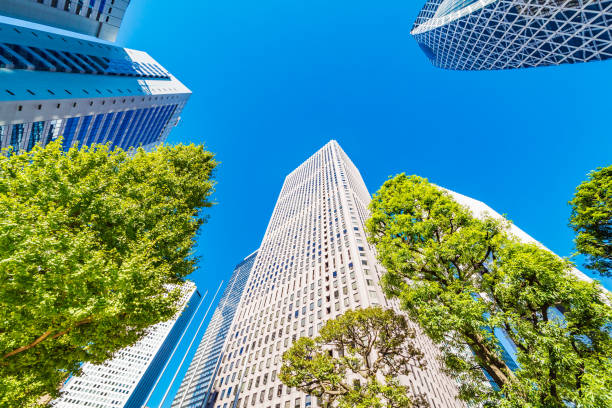 istock Shinjuku Tall Buildings Group 905938720