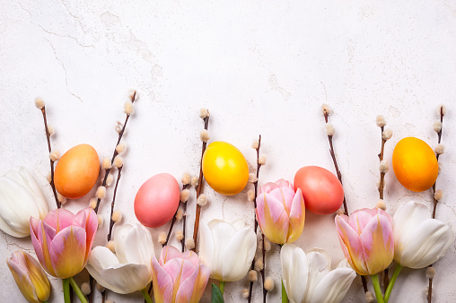 Colorful tulips with branches pussy willows and easter eggs on old background. Festive  Easter concept with copy space. Flat lay