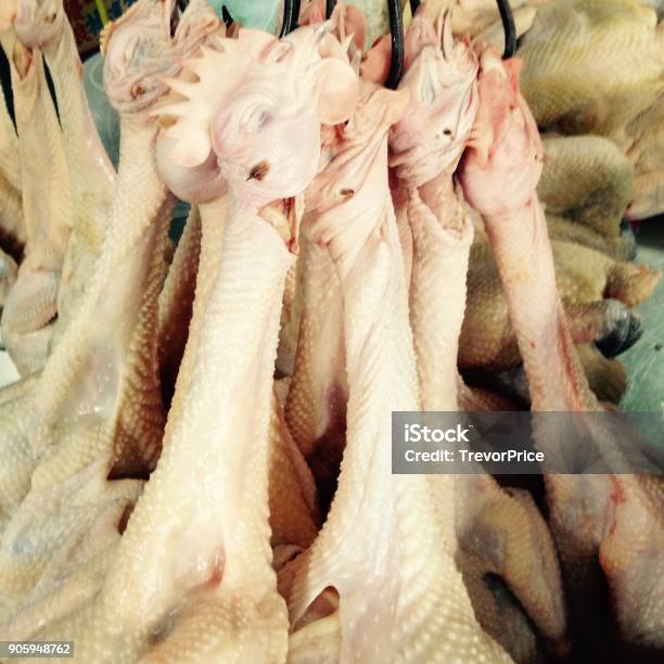 A Bunch Of 10 Dead Plucked Chickens Hanging From Metal Hooks In Their  Throats Ready For Cooking Stock Photo - Download Image Now - iStock