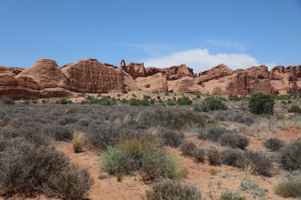 istock Landscape at Arches National Park. Utah. USA 905948904