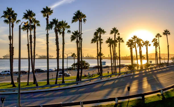 Beautiful Long Beach beach sunset with palm tree silhouettes and coastal highway. stock photo