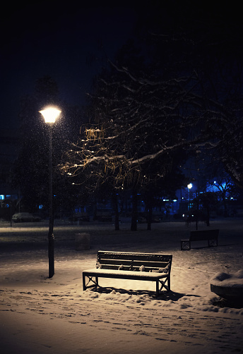 A night scene from a city park, a view of the bench, a lampion, and snow-covered branches.