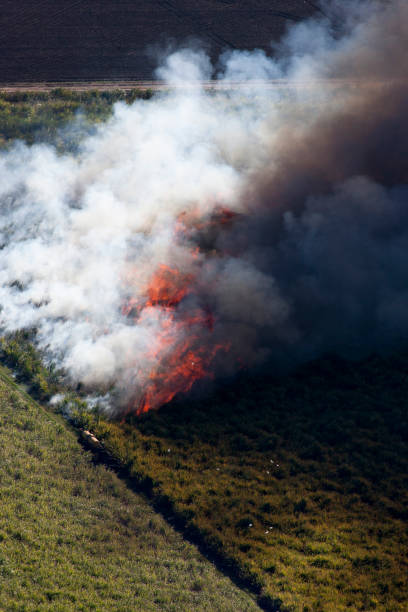 istock Aerial View of Burning Sugarcane fields 905957662