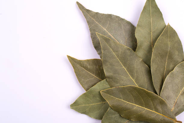 istock Dry laurel bay leaf isolated on white background. 905960114
