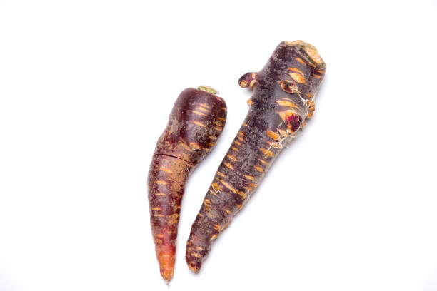 istock two healthy violet carrots (Purple Haze) 905964134