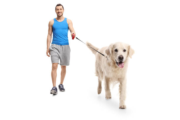 istock Young man in sportswear walking a dog 905969724