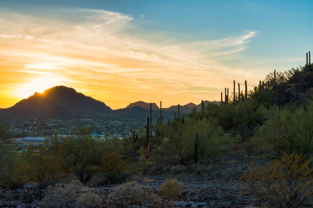 istock Sunset over Tucson, Arizona, USA 905970090