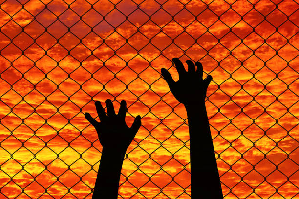 Prison Barbed Wire Fence at Sunset