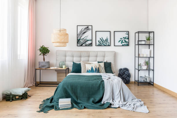 istock Green bedroom interior with plant 905974616