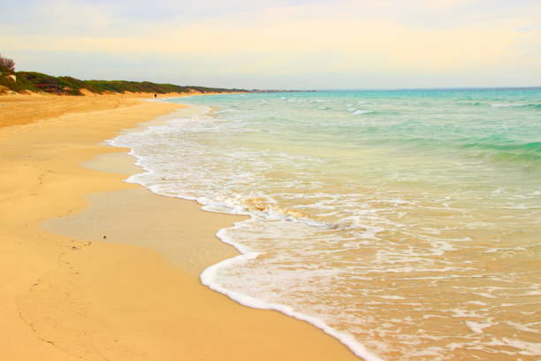 istock Sandy beach in Puglia, Italy 905974794